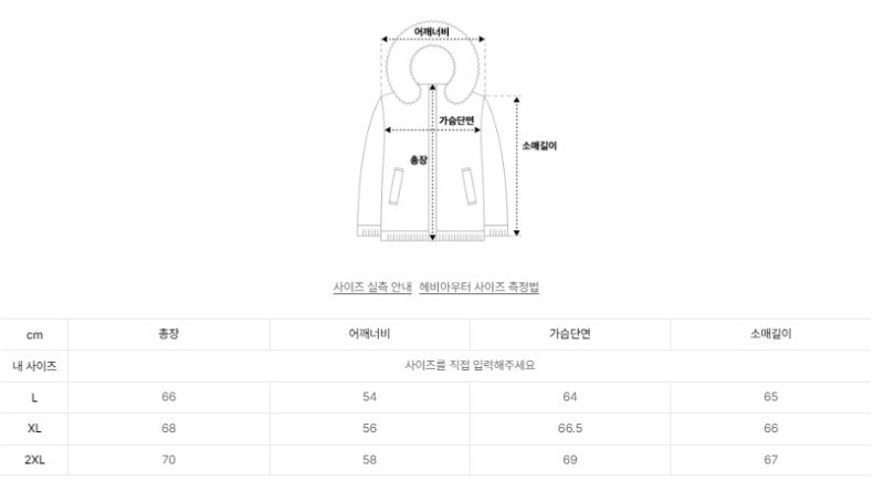【WE ARE】韓國Satur羽絨服外套SA254MDW11