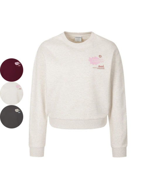 【WE ARE】韓國Discovery大學T衛衣DWMT43061