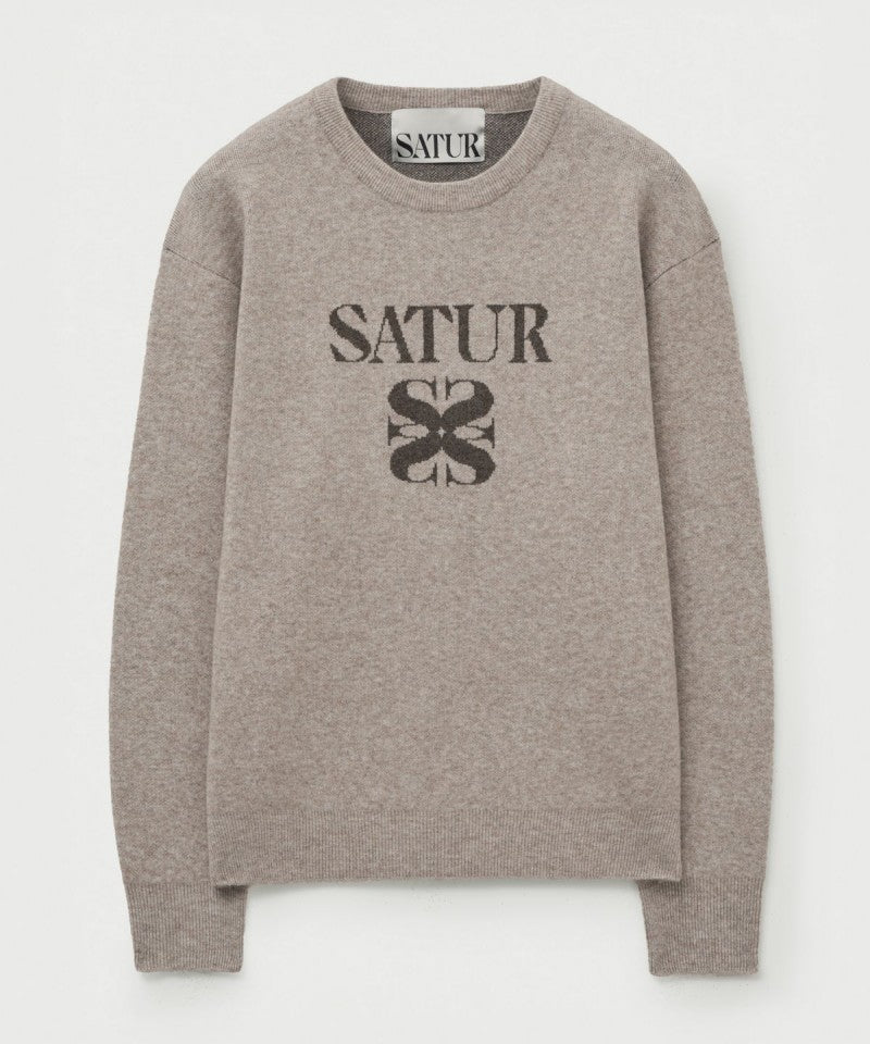 男女同款【WE ARE】韓國Satur毛衣SA253UKT21