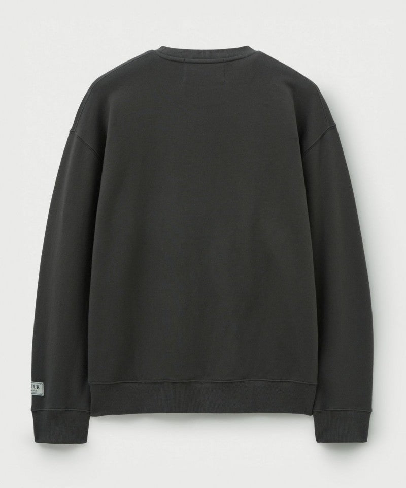 男女同款【WE ARE】韓國Satur加絨大學T衛衣SA254UTM13