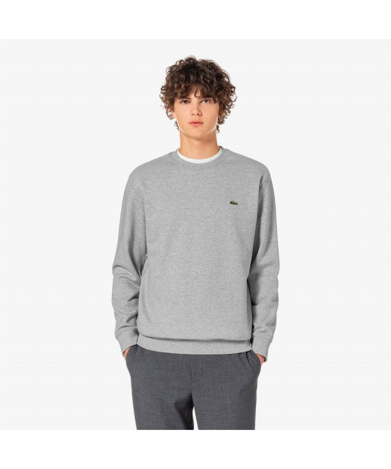 男款【WE ARE】韓國LACOSTE鱷魚大學T衛衣SH170E55N