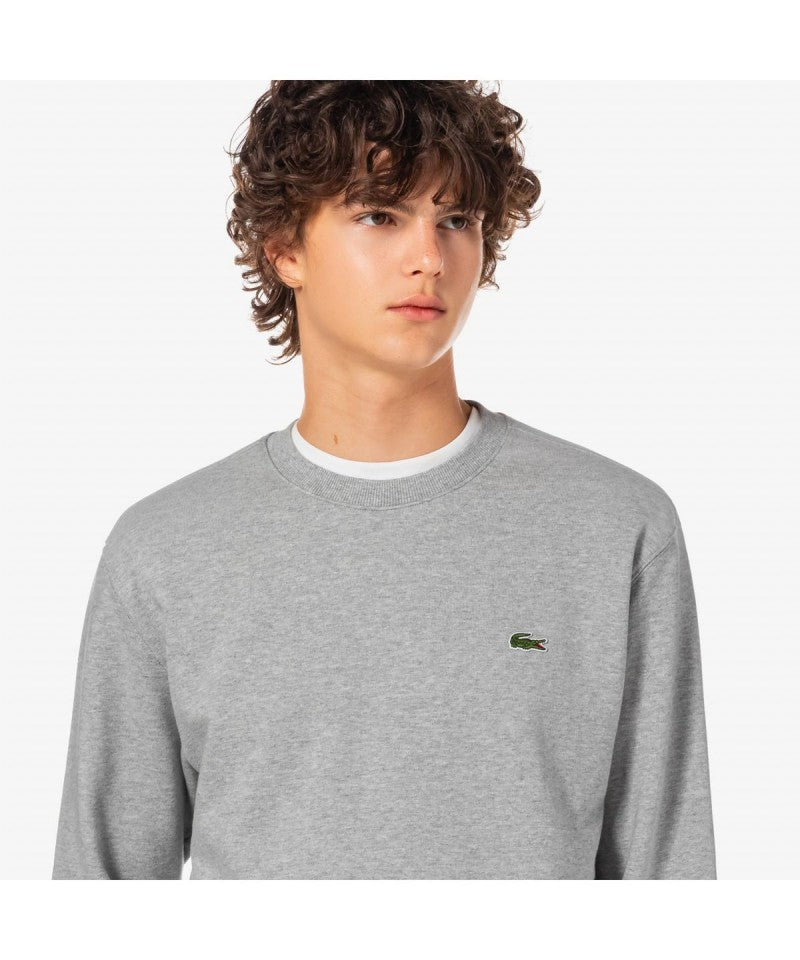 男款【WE ARE】韓國LACOSTE鱷魚大學T衛衣SH170E55N