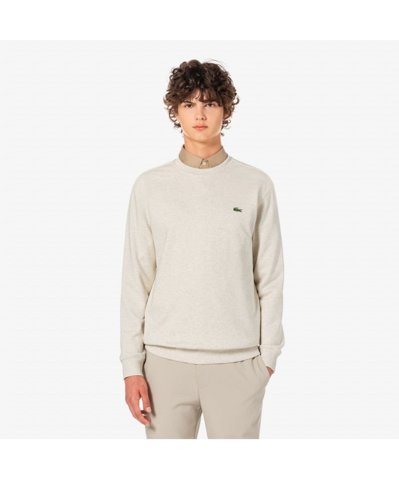 男款【WE ARE】韓國LACOSTE鱷魚大學T衛衣SH170E55N