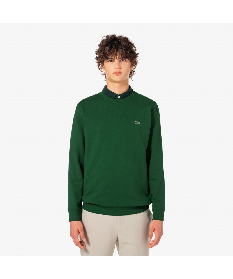 男款【WE ARE】韓國LACOSTE鱷魚大學T衛衣SH170E55N