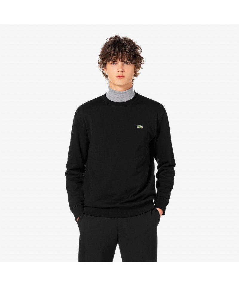 男款【WE ARE】韓國LACOSTE鱷魚大學T衛衣SH170E55N