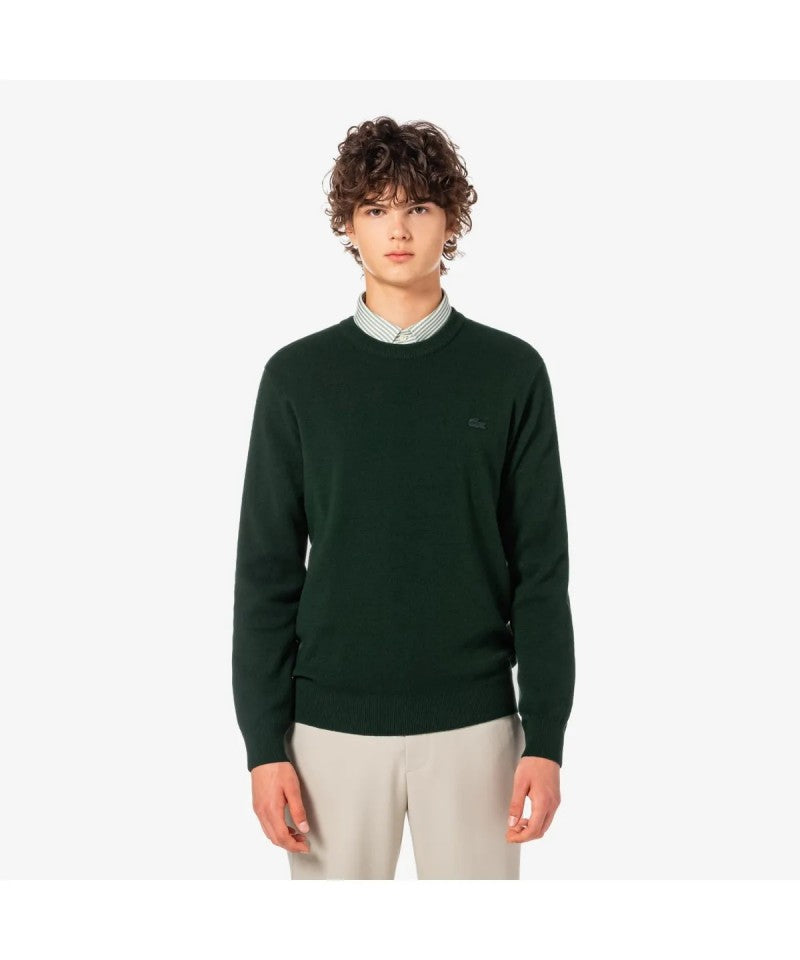 男款【WE ARE】韓國LACOSTE鱷魚圓領大學T衛衣AH596E55N