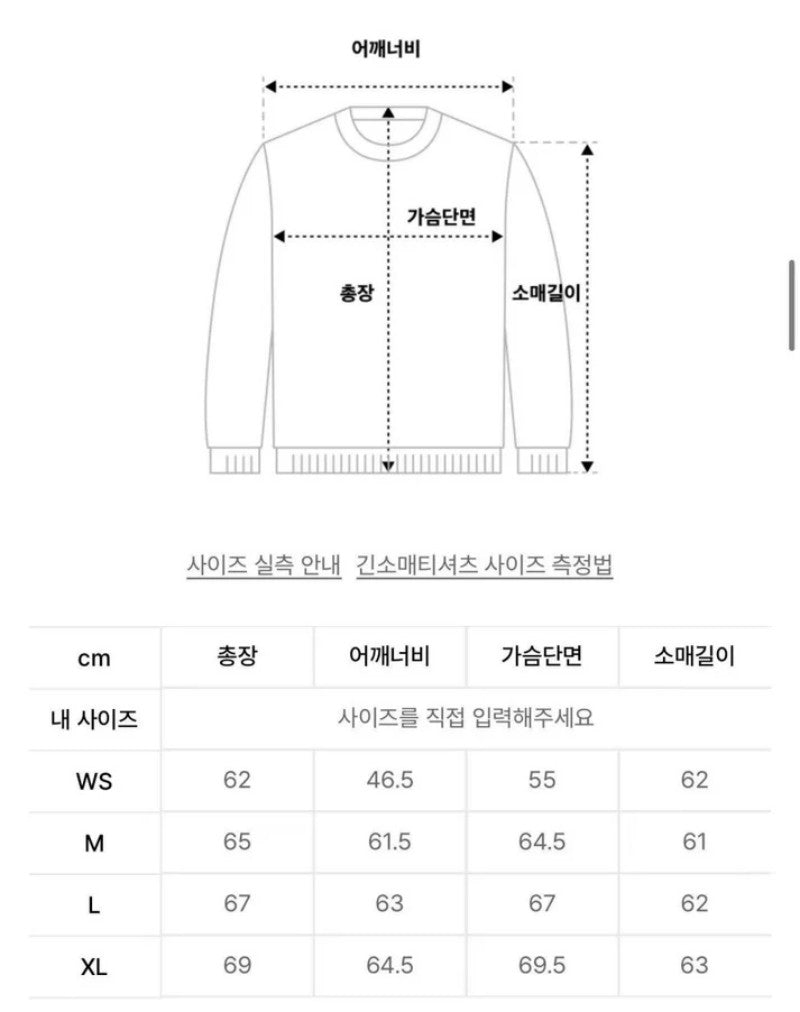 【樣品優惠現貨】【WE ARE】韓國Satur刺繡小標logo大學T SA251MTM03