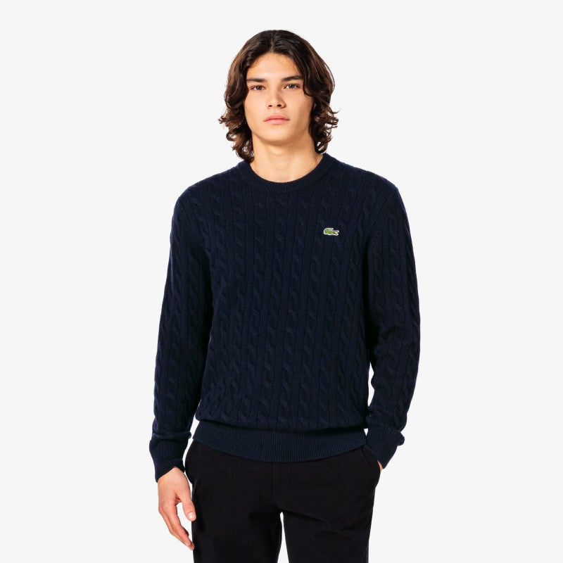 男款【WE ARE】韓國LACOSTE針織羊毛上衣AH816E55N