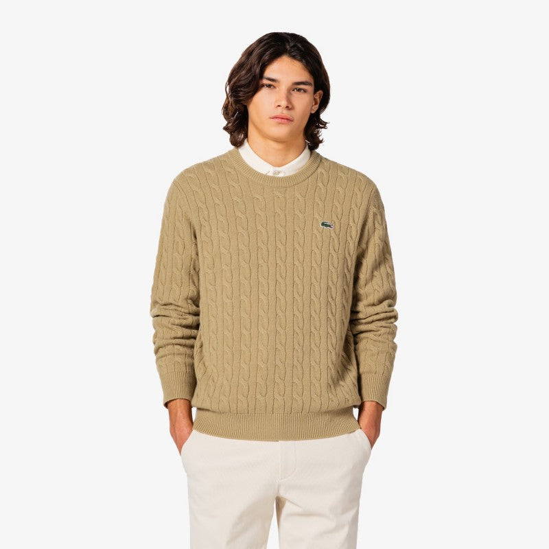 男款【WE ARE】韓國LACOSTE針織羊毛上衣AH816E55N