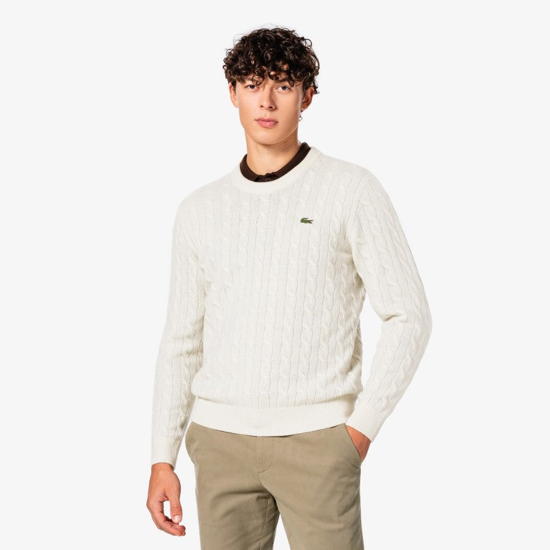 男款【WE ARE】韓國LACOSTE針織羊毛上衣AH816E55N