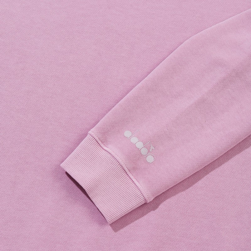 【WE ARE】韓國Diadora休閒大學T衛衣D6123LFS24