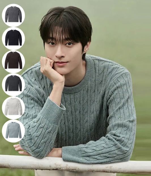 男款【WE ARE】韓國POLHAM羊毛絞花毛衣PHF4ER1470