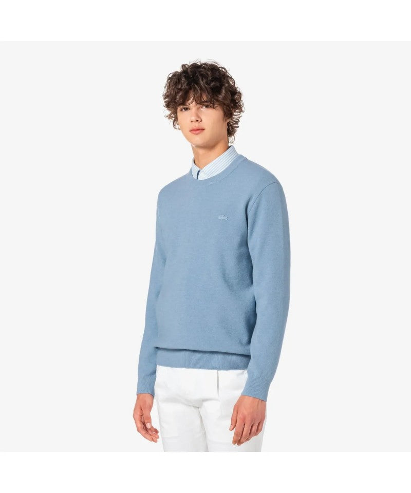 男款【WE ARE】韓國LACOSTE鱷魚圓領大學T衛衣AH596E55N