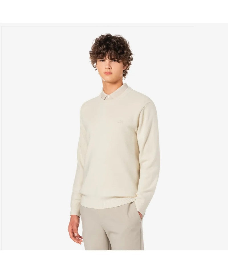 男款【WE ARE】韓國LACOSTE鱷魚圓領大學T衛衣AH596E55N