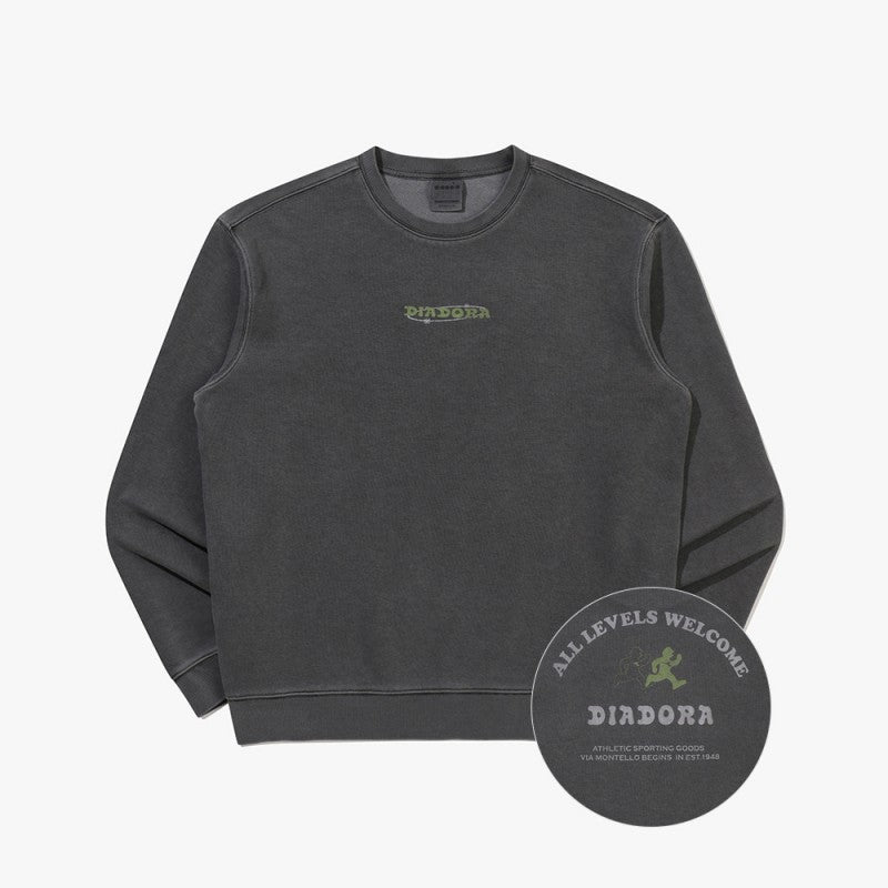 【WE ARE】韓國Diadora休閒大學T衛衣D6123LFS24