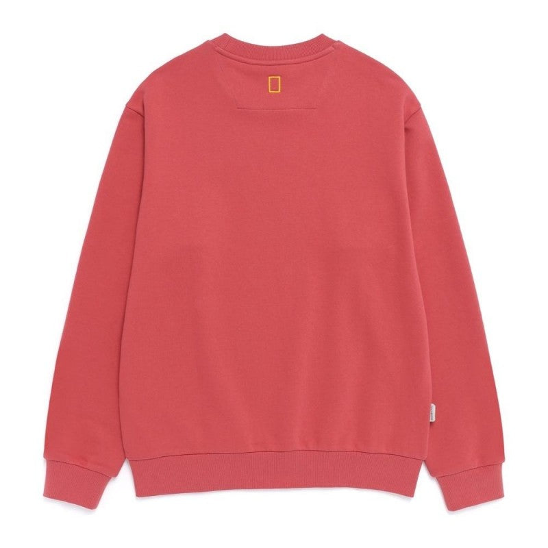 【WE ARE】韓國國家地理圓領大學T衛衣N261USW010